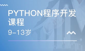 重慶南坪軟件開發培訓指南 課程、選擇與職業發展